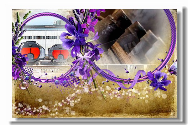 蒸氣節(jié)能鍋爐報價找哪家更專業(yè)？
